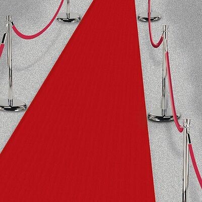 J - Add On: Hollywood Red Carpet, Red Velvet Ropes and Stanchions