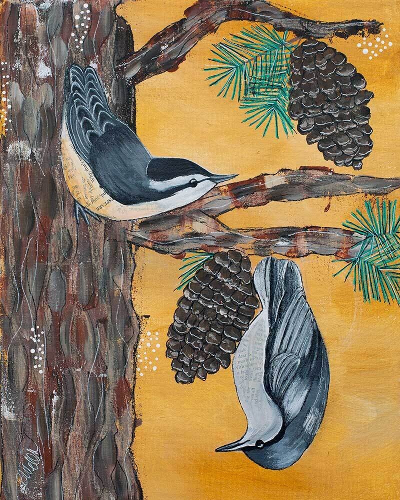 11x14 Nuthatch Bonanza 11x14 Nuthatch Bonanza
