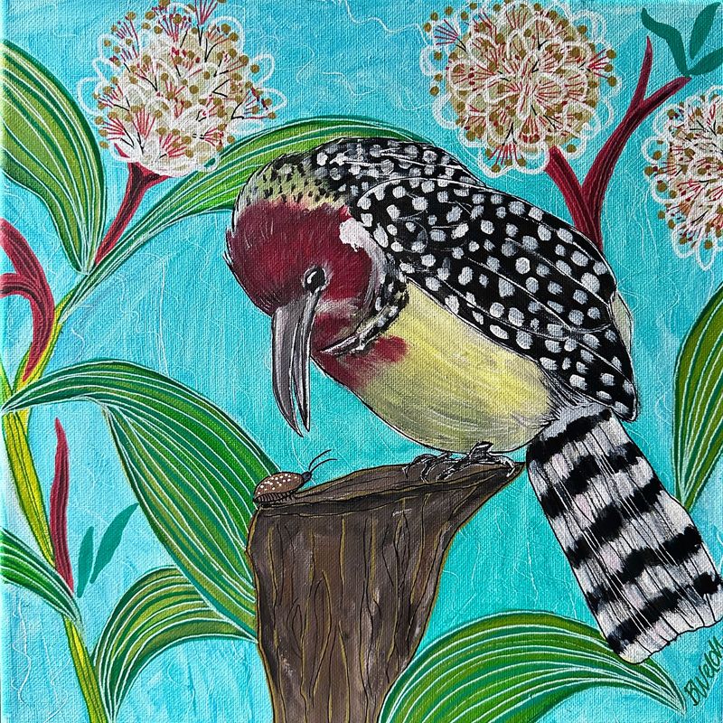 11x11 Barbet Snacktime 11x11 Barbet Snacktime