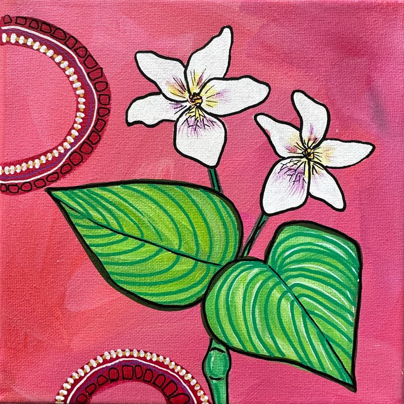 8x8 Canadian Violet 8x8 Canadian Violet