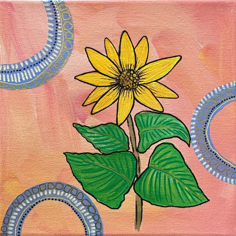 8x8 Heartleaf Arnica 8x8 Heartleaf Arnica