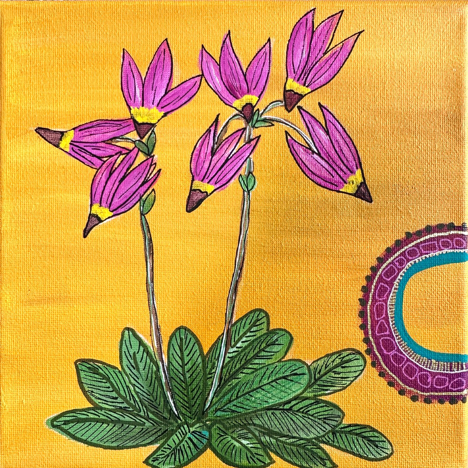 8x8 Bonneville Shooting Star 8x8 Bonneville Shooting Star