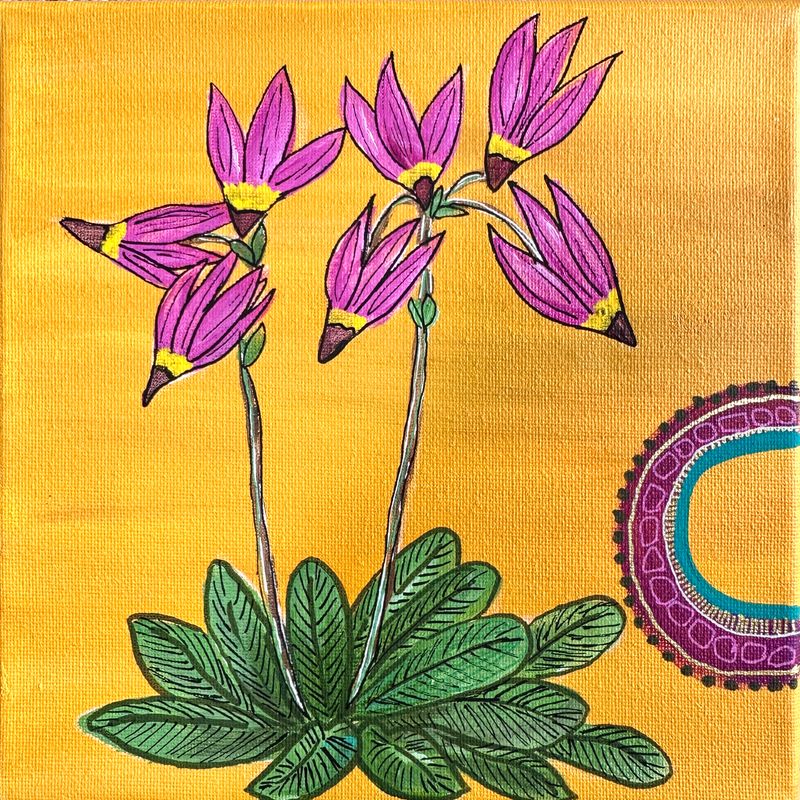 8x8 Bonneville Shooting Star 8x8 Bonneville Shooting Star