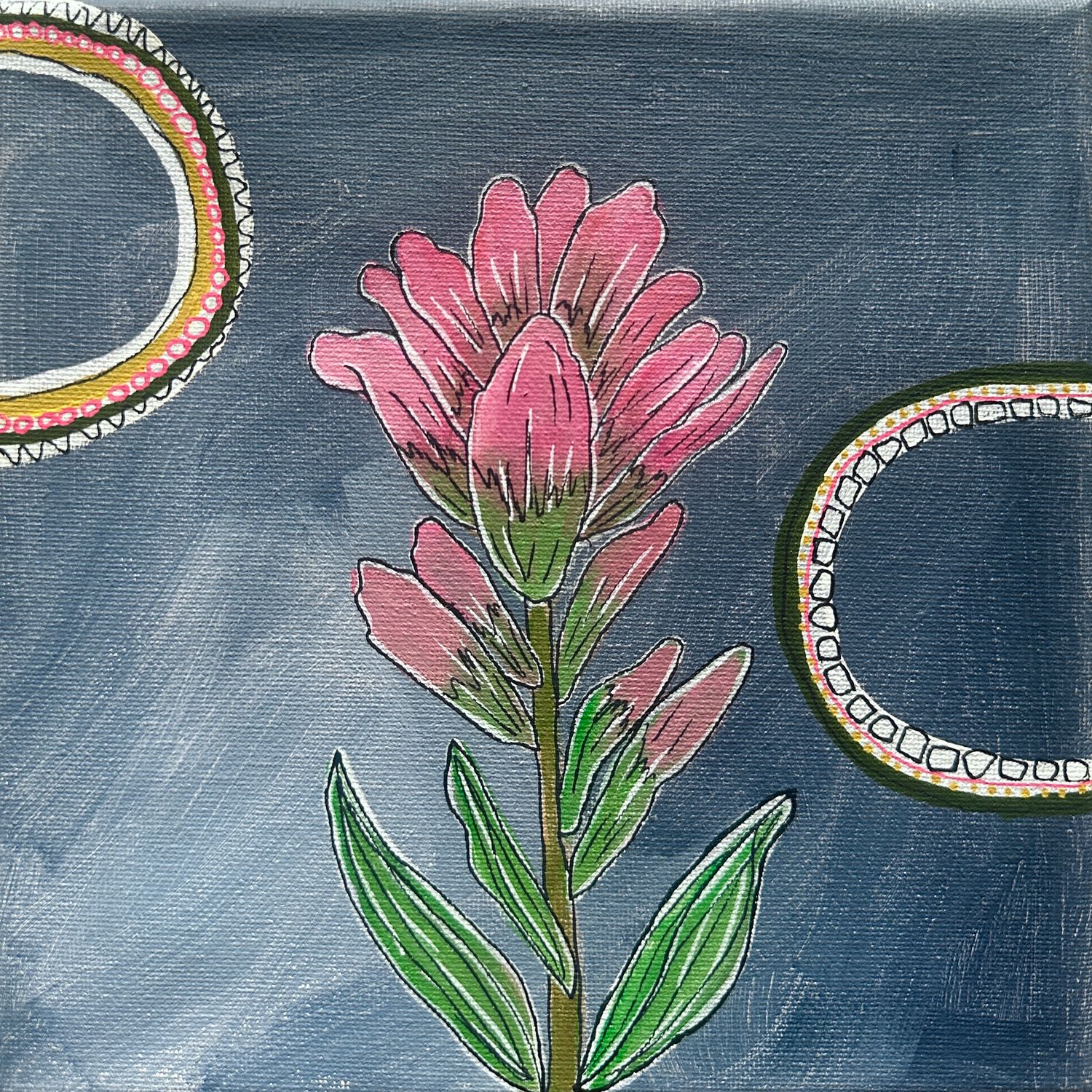 8x8 Indian Paintbrush 8x8 Indian Paintbrush
