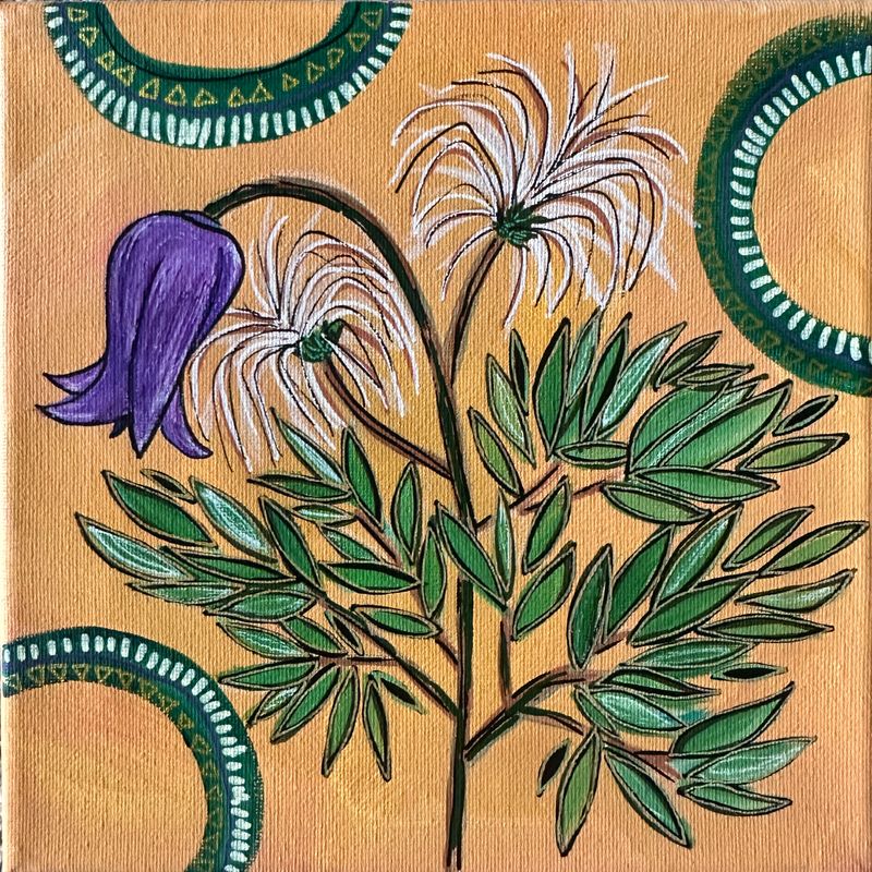 8x8 Hairy Clematis 8x8 Hairy Clematis