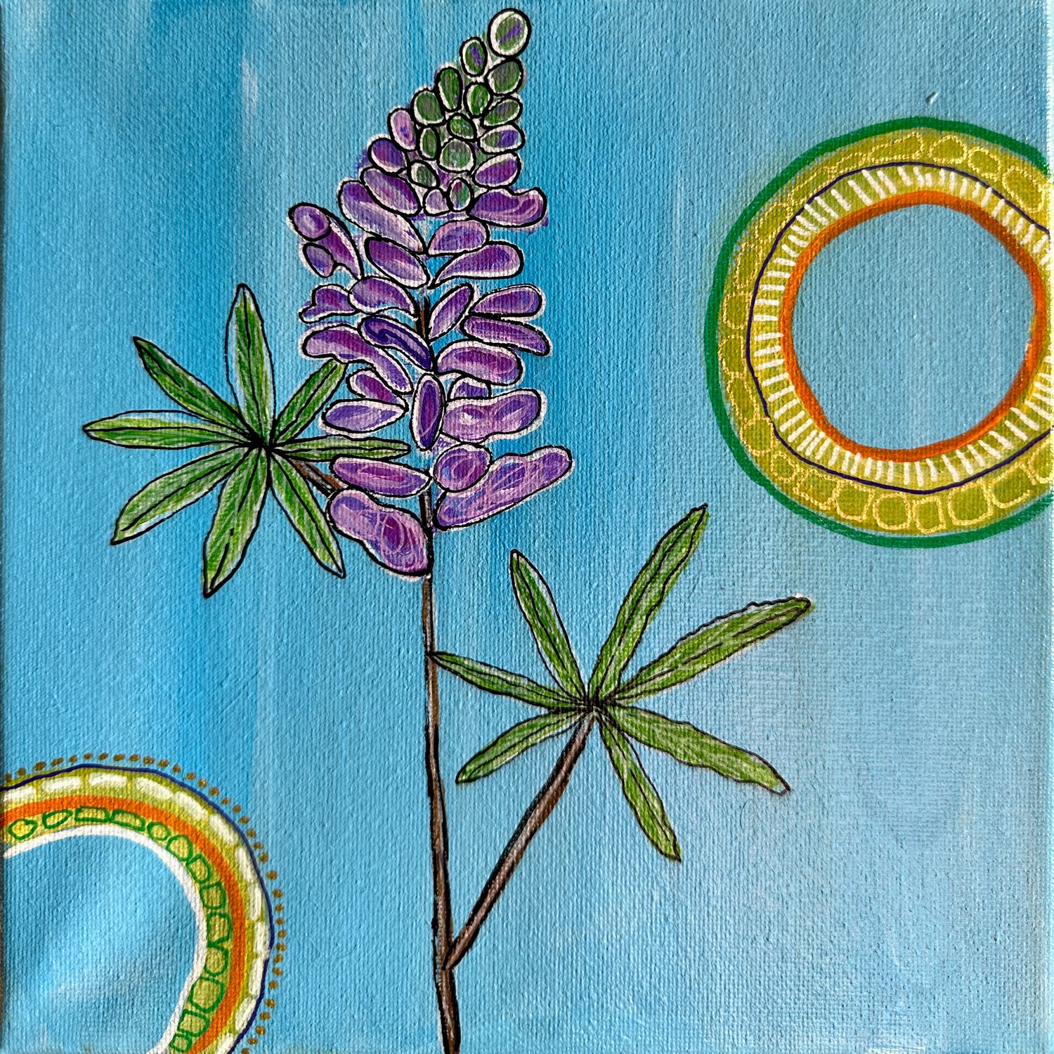 8x8 Silvery Lupine 8x8 Silvery Lupine