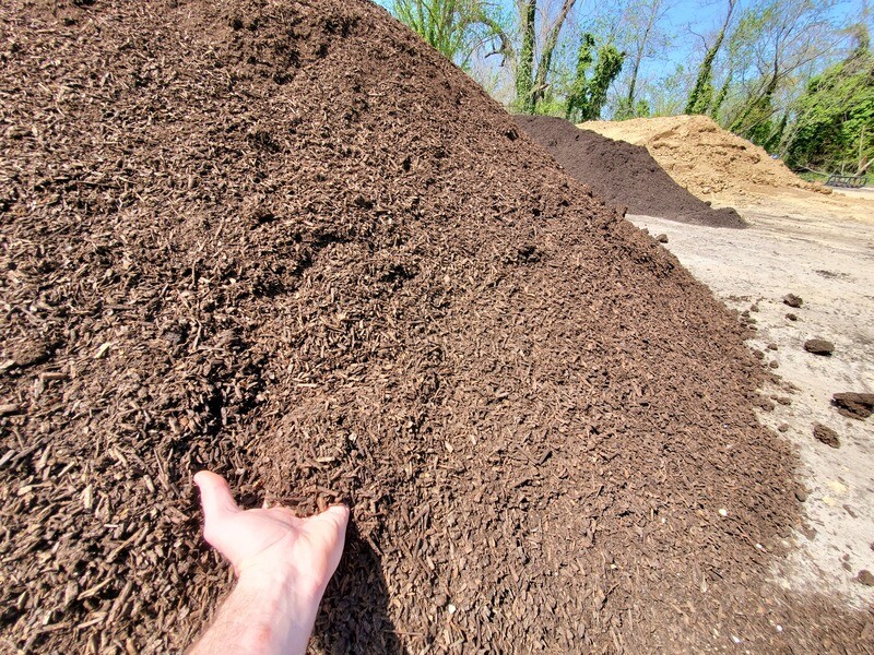 Soil Compost - Top Growth