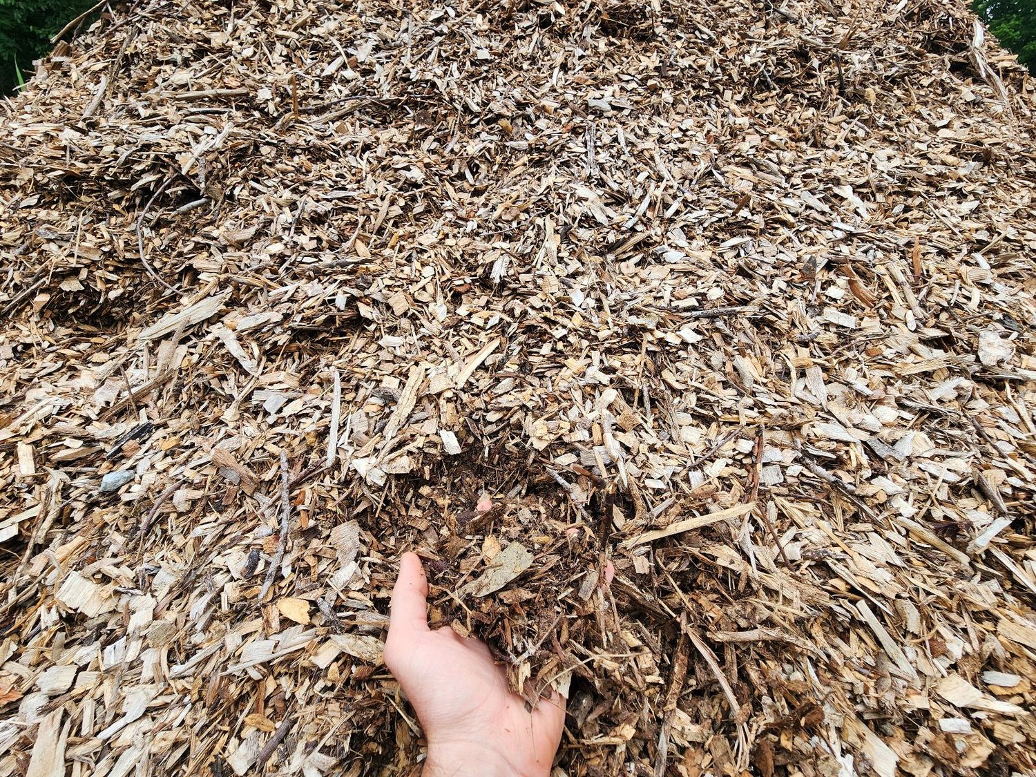 Wood Chips- Screened