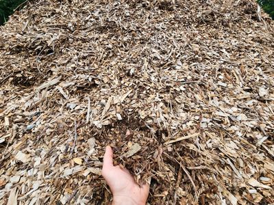 Wood Chips - Screened