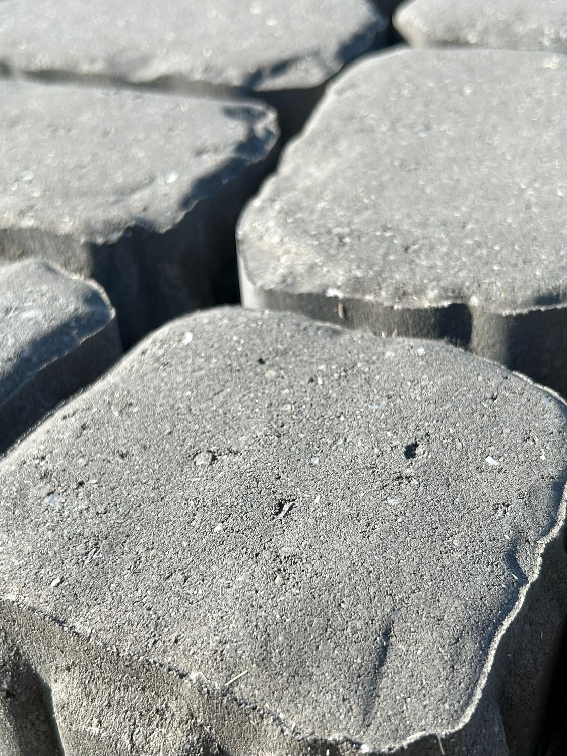 Abstract Raven Pavers