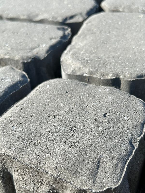 Abstract Raven Pavers