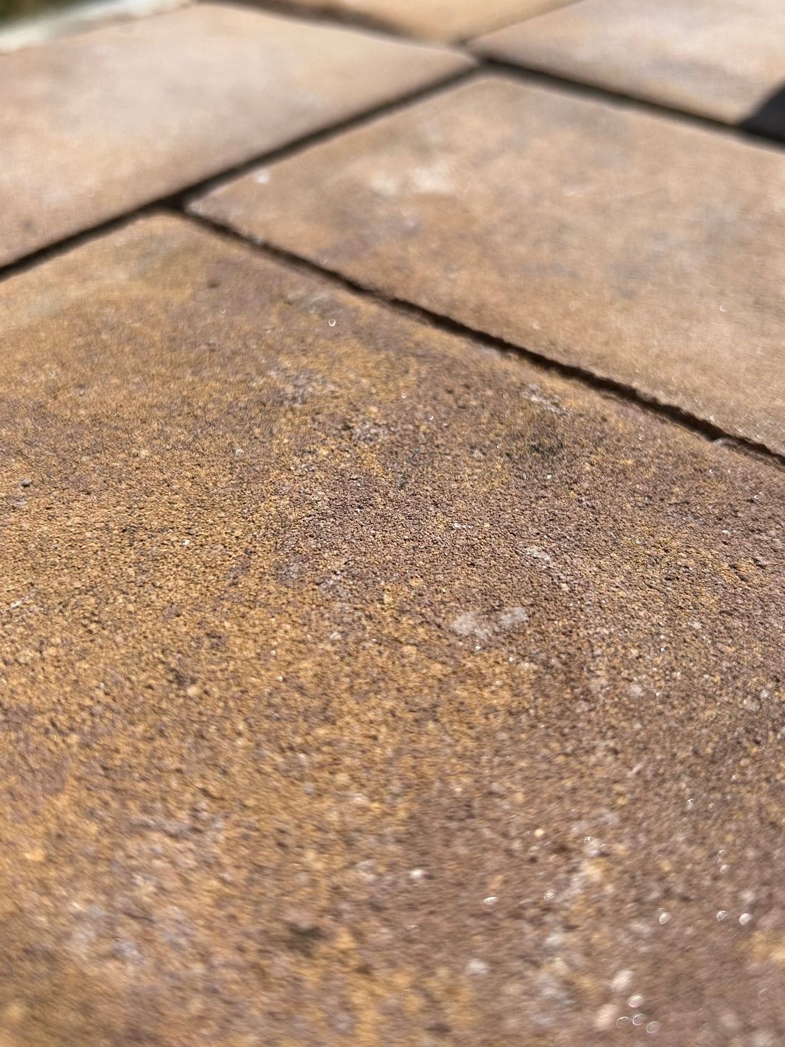 4&quot; x 8&quot; Holland Stone in Crab Orchard Pavers