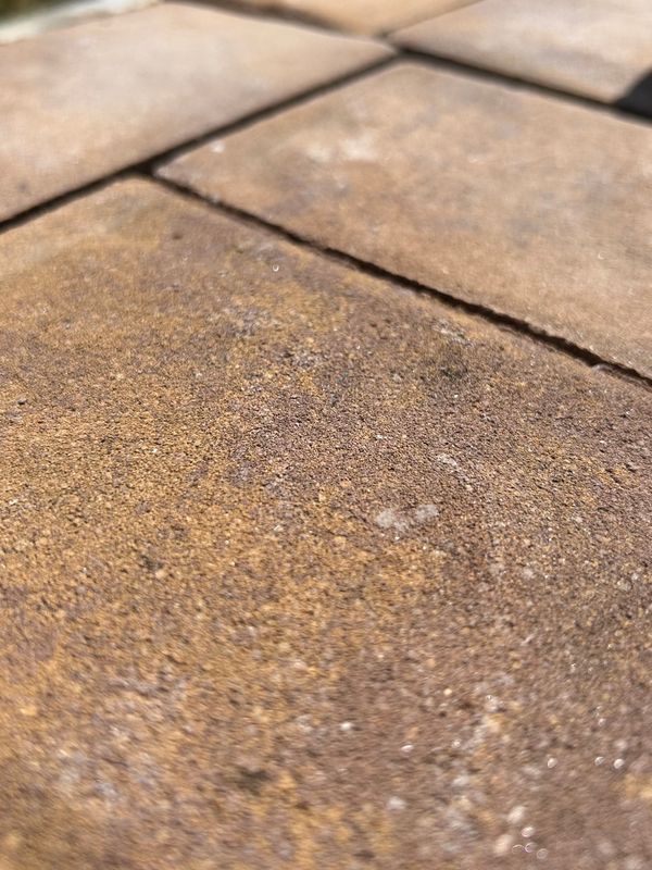 4&quot; x 8&quot; Holland Stone in Crab Orchard Pavers