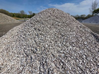 Clamshells