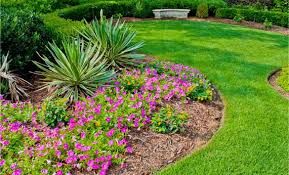 Mulch Natural