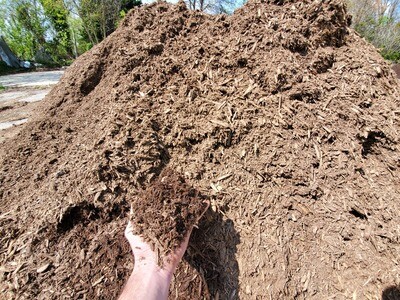 Mulch Natural