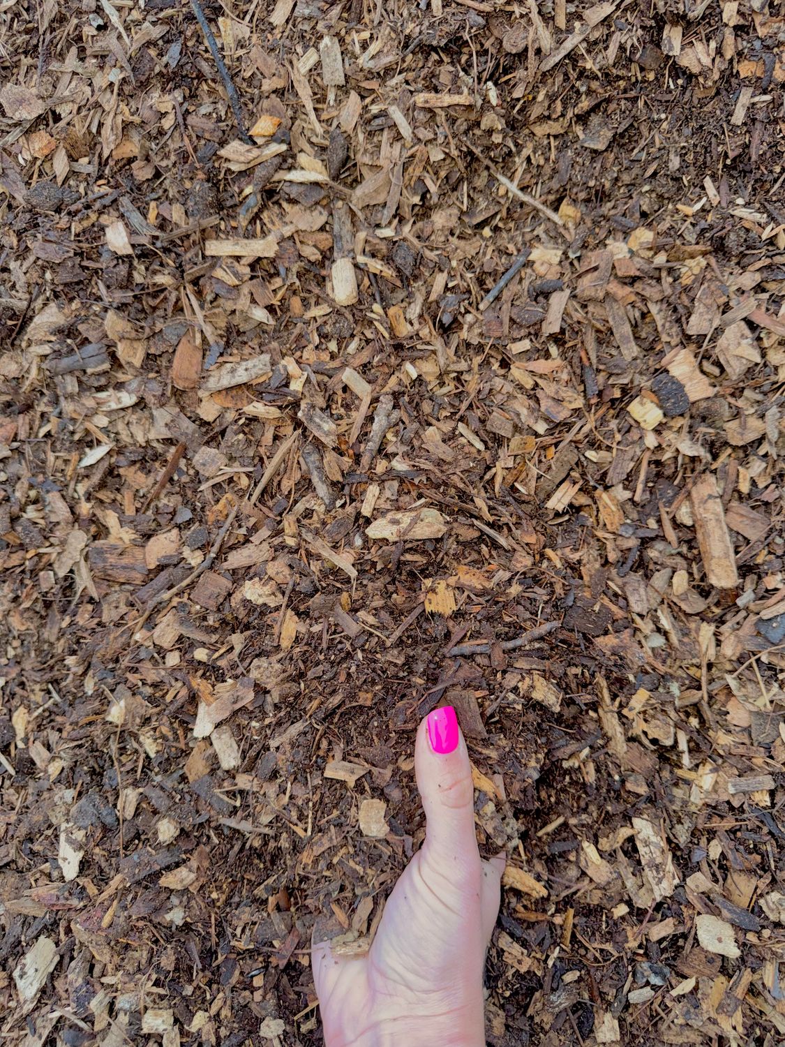 Double Screened Fine Wood Chips