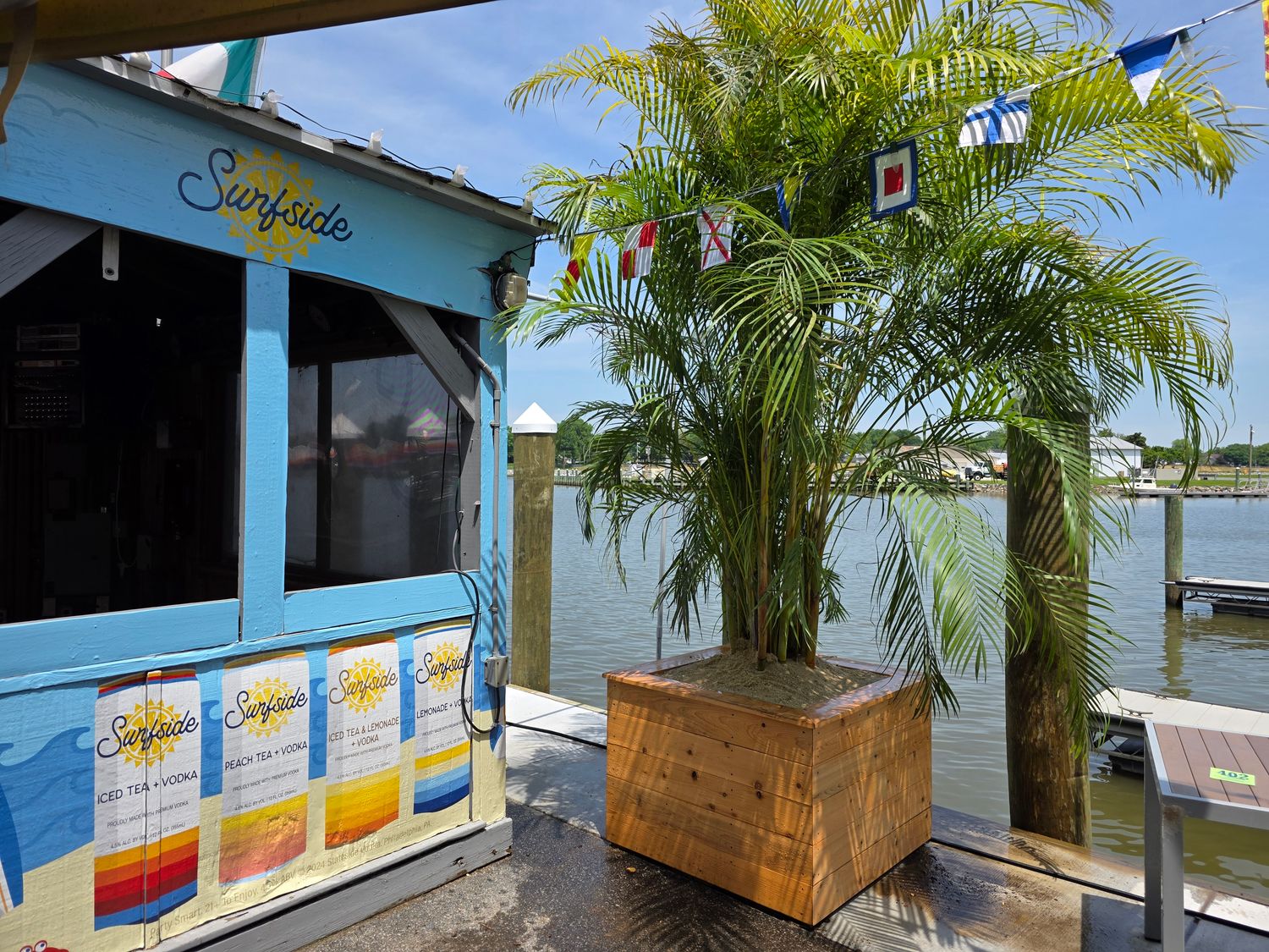 Areca Palm Tree (25 Gal)