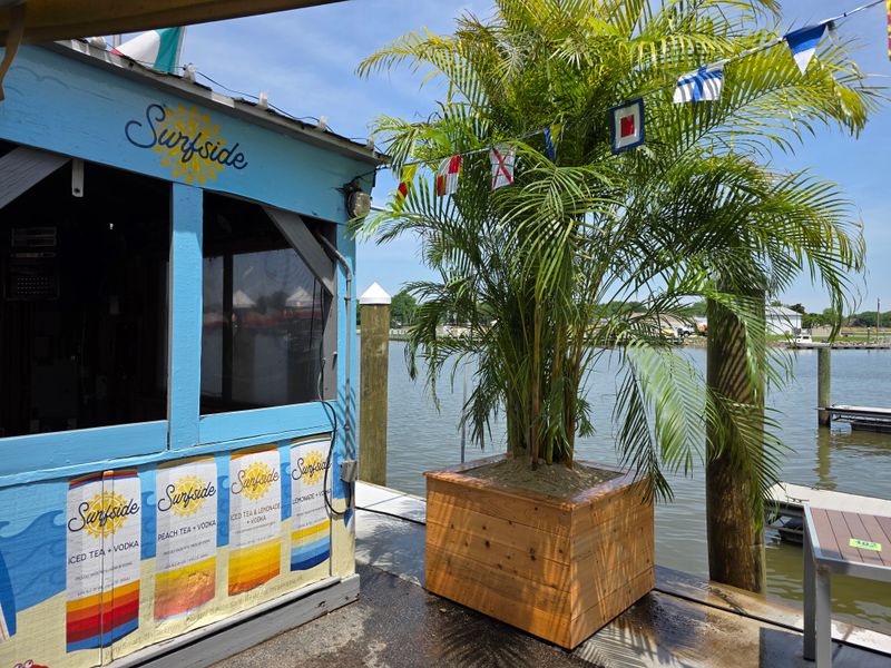 Areca Palm Tree (25 Gal)