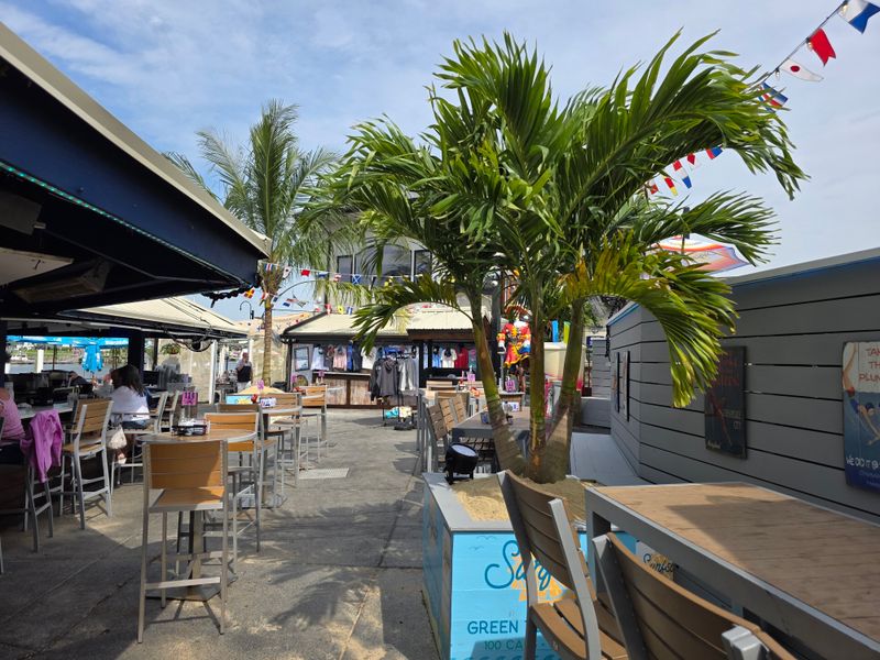 Adonidia Triple Palm Tree (8' B&amp;B)