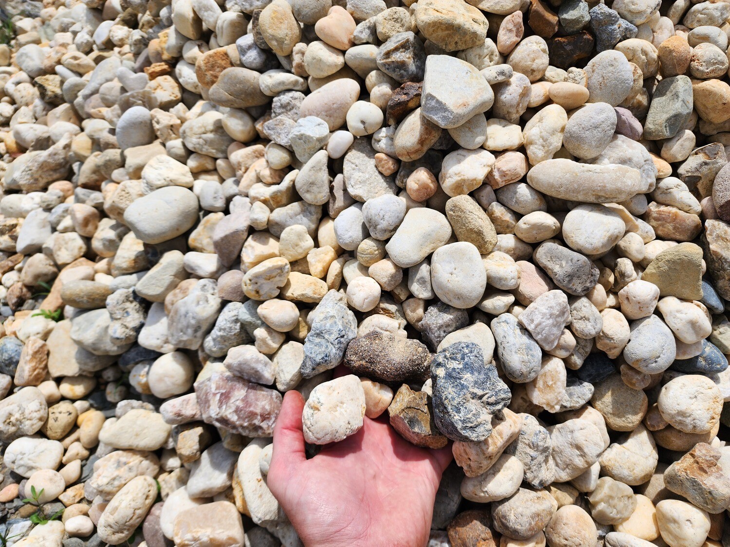 1 ½" Natural Gravel