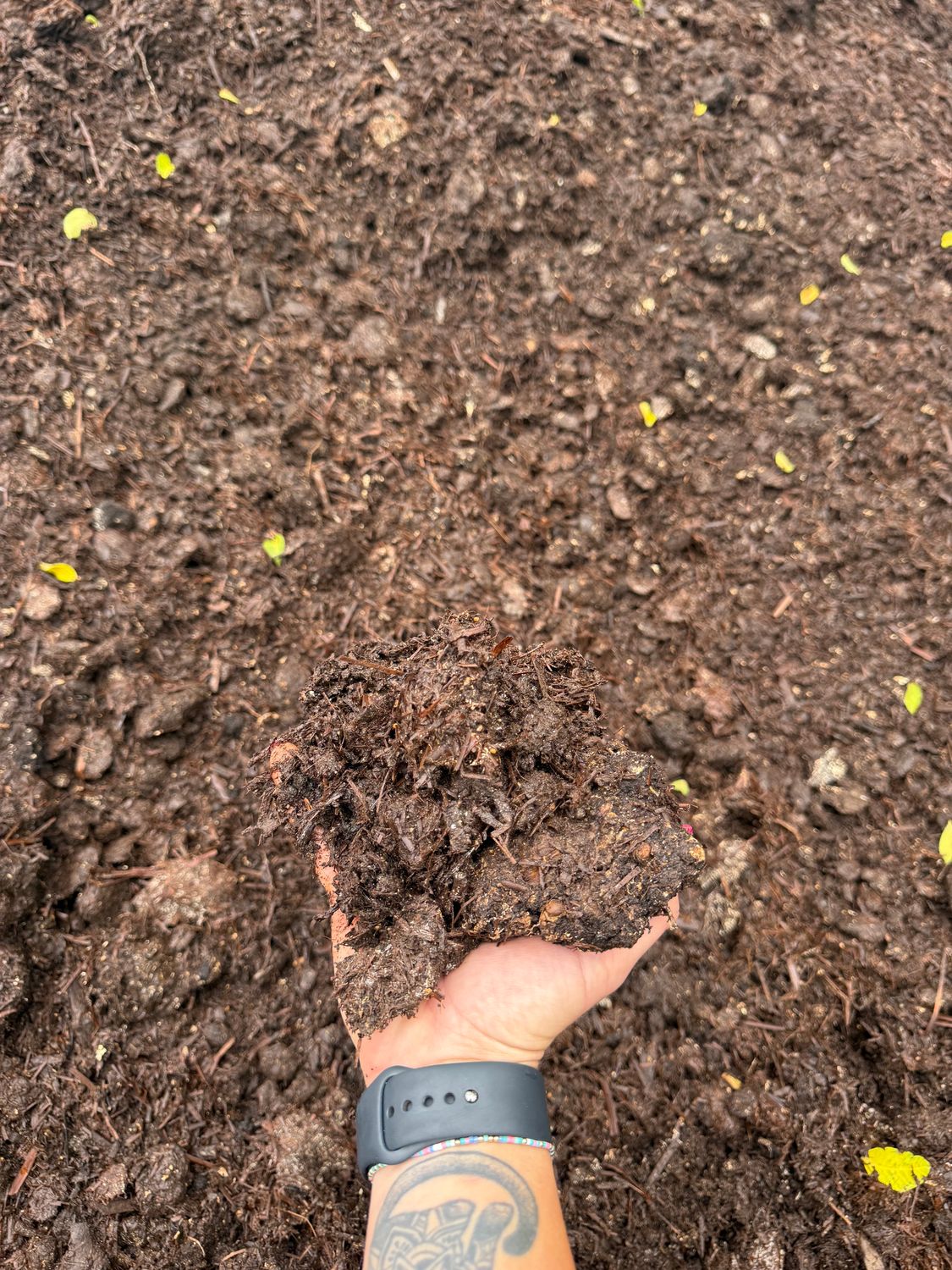 Mushroom Compost