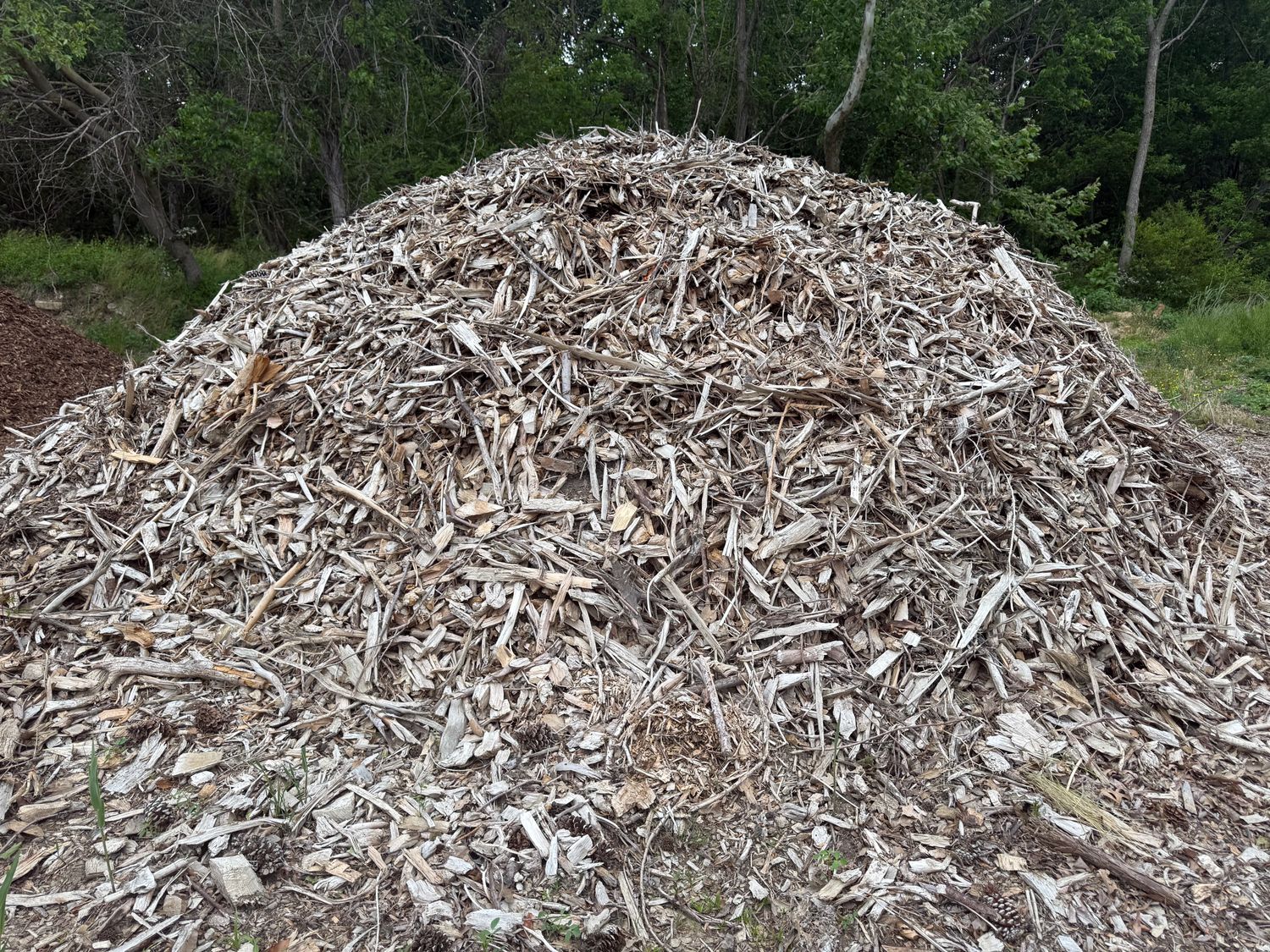 Construction Wood Chips &amp; Shavings