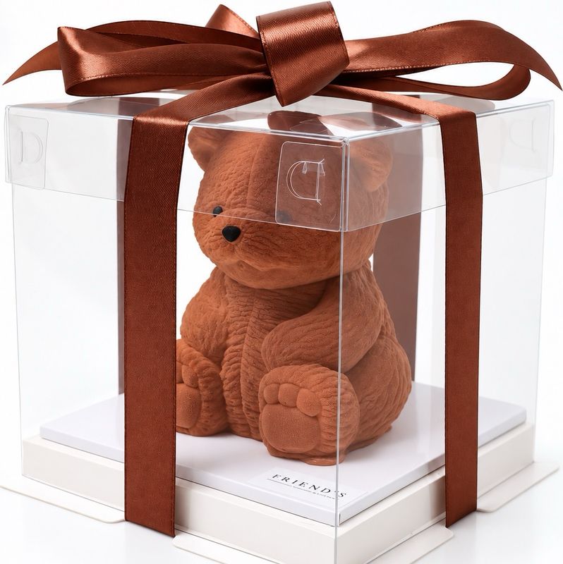 Big Teddy Bear 🧸