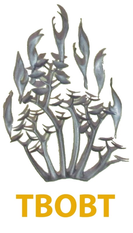 Member Payments