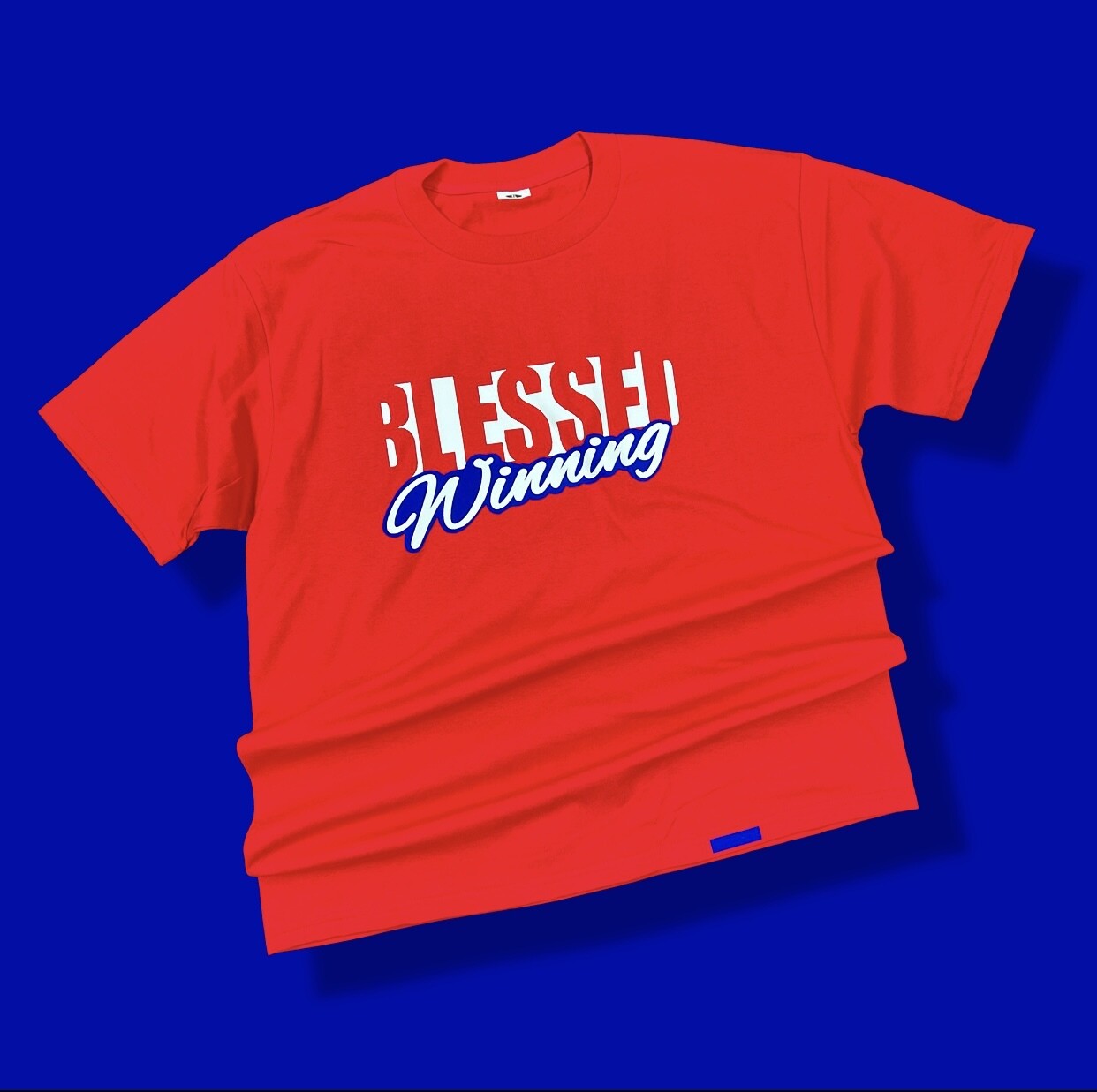 BLESSED &amp; WINNING t shirt