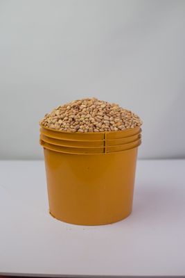 Painter of honey Beans