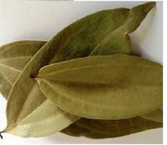 cinnamon leaf