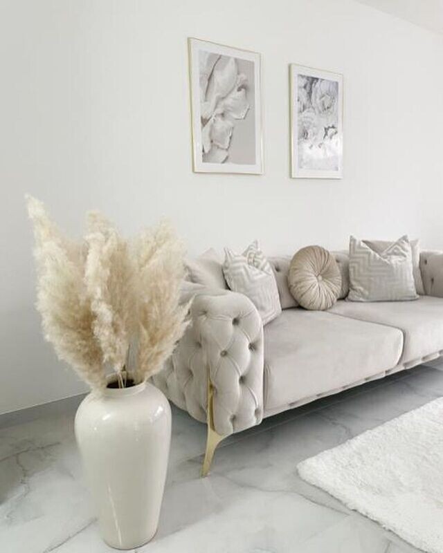 Pampas grass 5x stems
