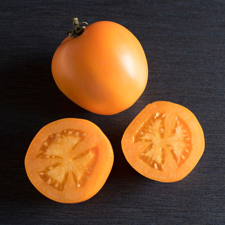 Tomato, heirloom, Valencia, orange sunny