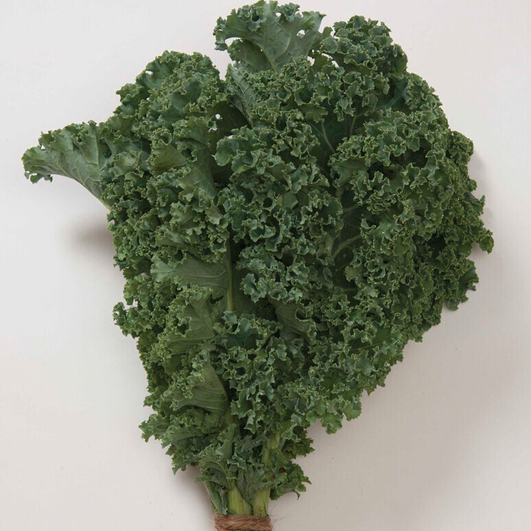 Kale, curly