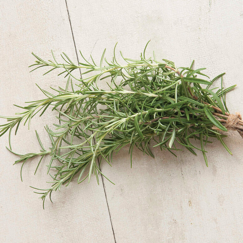 Herb, Rosemary