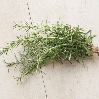 Herb, Rosemary