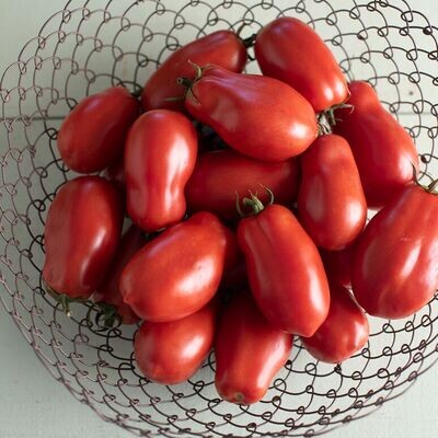 Tomato, heirloom, San Marzano