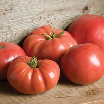 Tomato, Heirloom, German Johnson