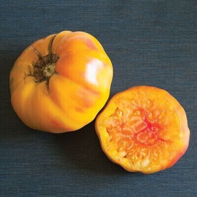 Tomato Seedling, Heirloom, Striped German Tomato Seedling, Heirloom, Striped German