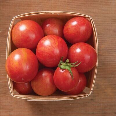 Tomato Seedling, Cherry, Pink Bumblebee