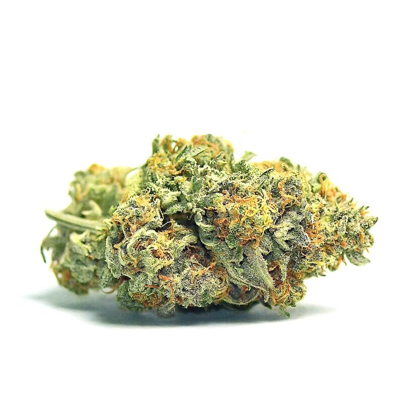 Crescendo Kush