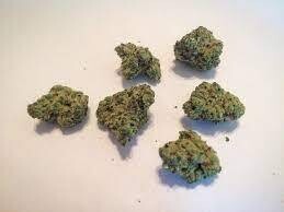 Donatello Kush