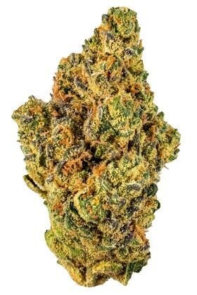 Orange Chiffon kush