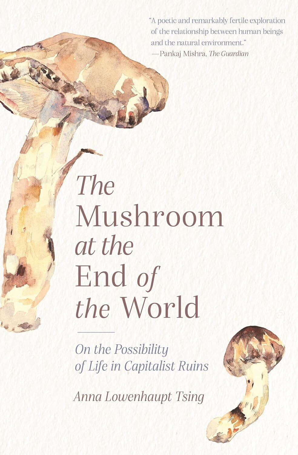 The Mushroom At The End Of The World: On the Possibility of Life in Capitalist Ruins