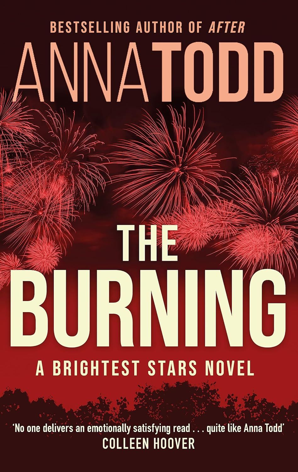 The Burning (Brightest Star, #2)