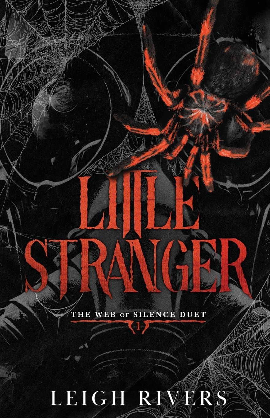 Little Stranger (The Web Of Silence Duet, #1)