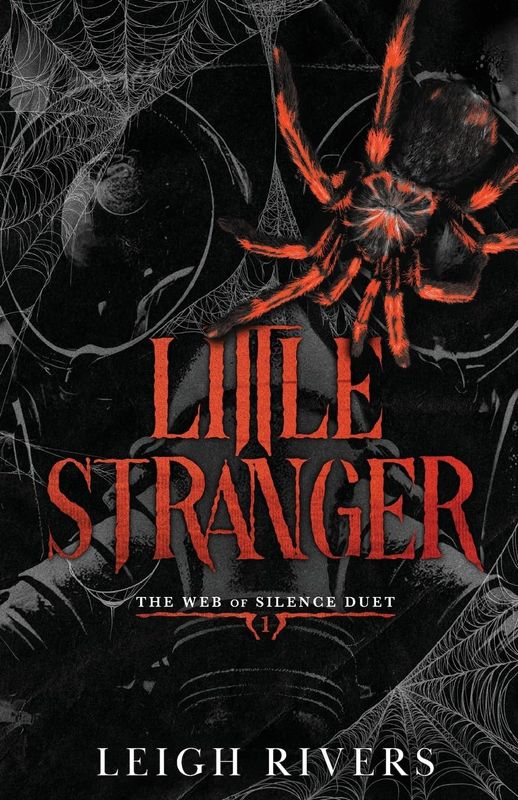 Little Stranger (The Web Of Silence Duet, #1)