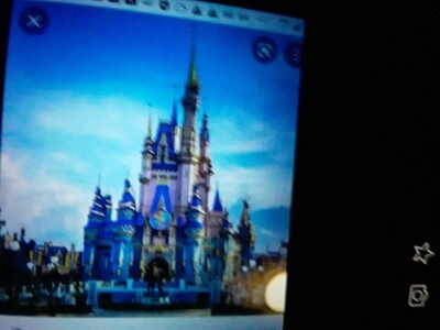 Walt disney world within duplicate of earth for 100 million dallors