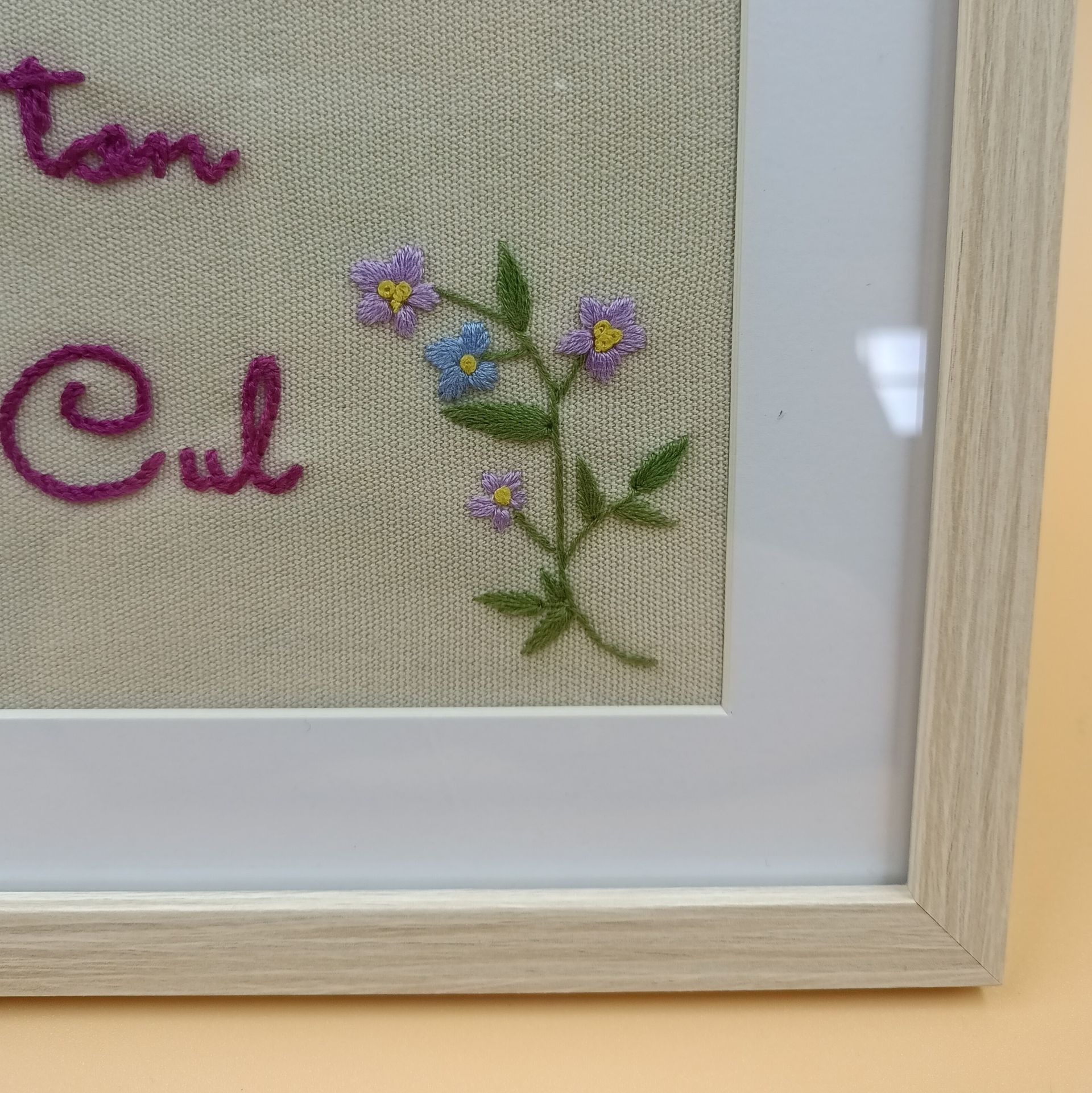 BRODERIE INSOLENTE Raymonde - Dans ton Cul